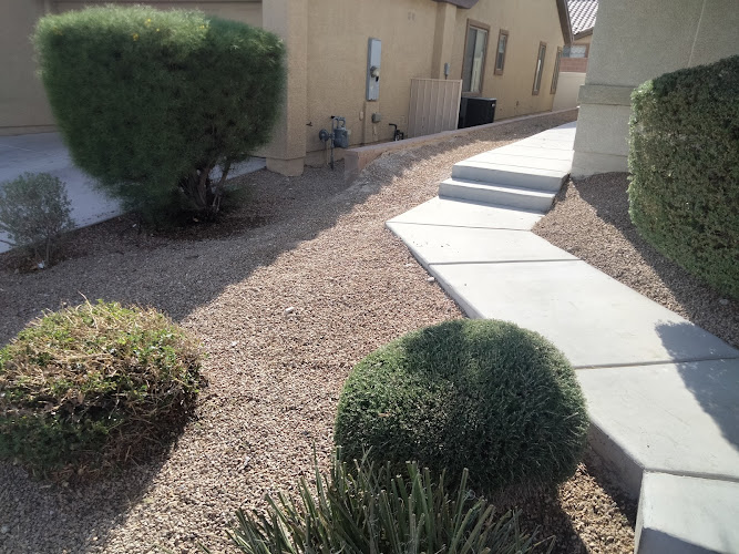 Weed guys landscaping NV