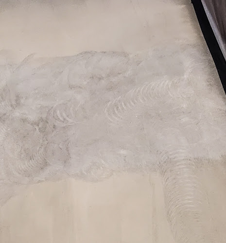 Nevada Gypsum Floors