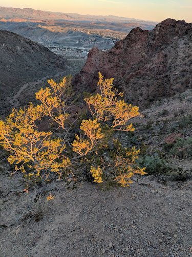 Radio Station Trails