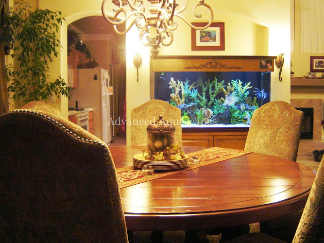 Advanced Aquascapes