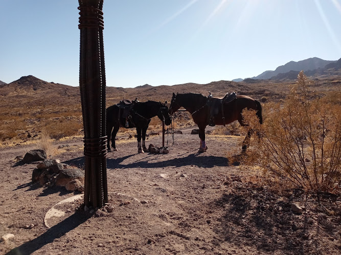 Rest Stop – McCullough Hills Trail