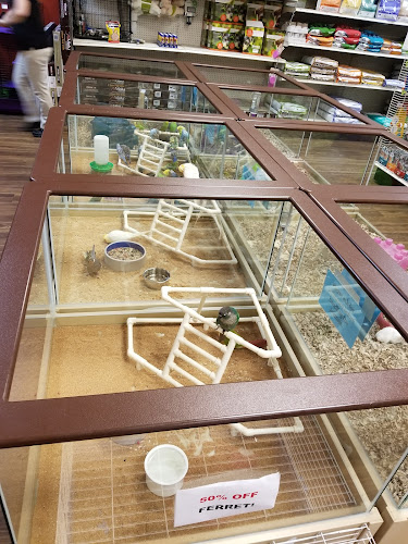 Petland Henderson