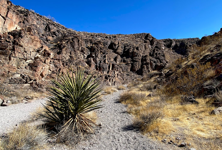 Dry Falls, Petroglyph Trail