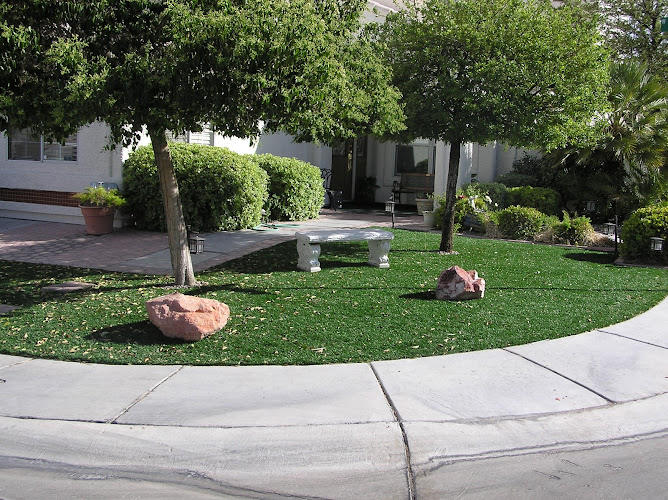 Absolute Paradise Landscaping
