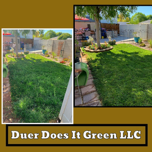 Duer Does It Green LLC