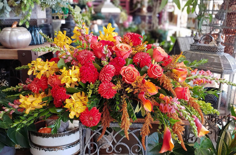 Windmill Floral Expressions