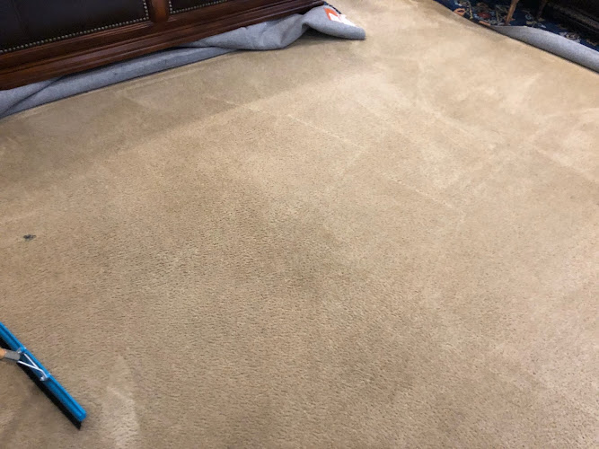 Oxi Fresh Carpet Cleaning