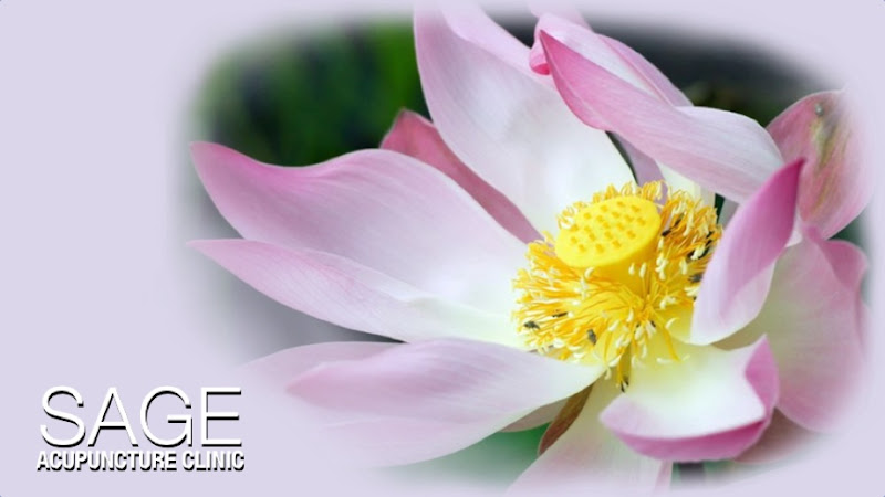 Sage Acupuncture Clinic