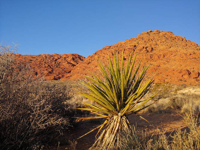 Calico Basin Trail