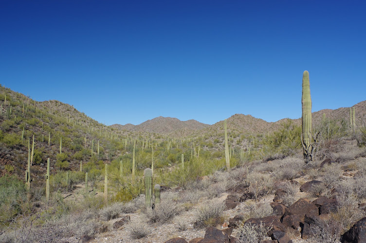 Table Top Mountain Wilderness Trailhead