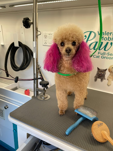 Valerie’s Paw Spa