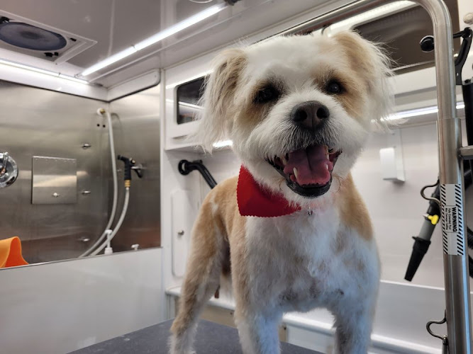 The Good Dog Spa – Cage Free Grooming & Mobile Grooming