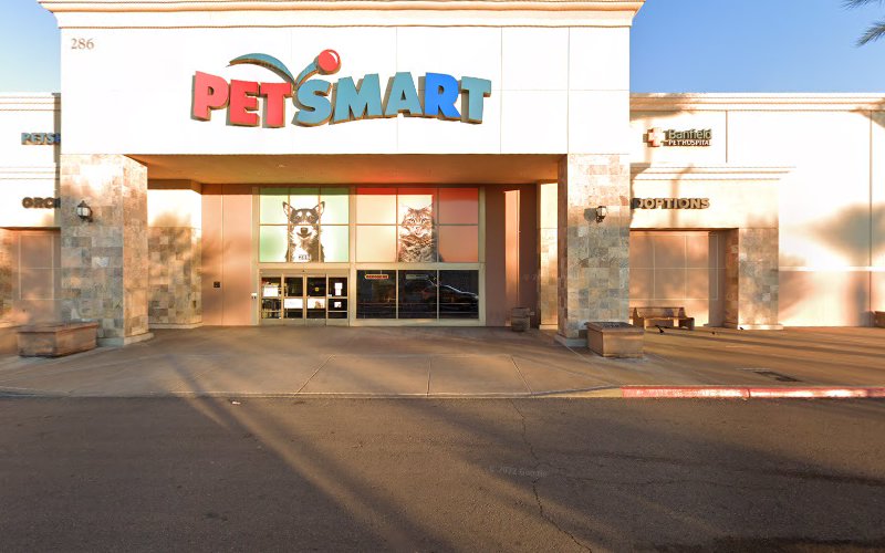 PetSmart Grooming